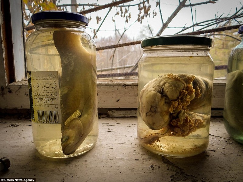 Rung minh canh ben trong thanh pho “ma” sau tham hoa Chernobyl-Hinh-7